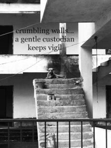 Dutt haibun crumbling walls