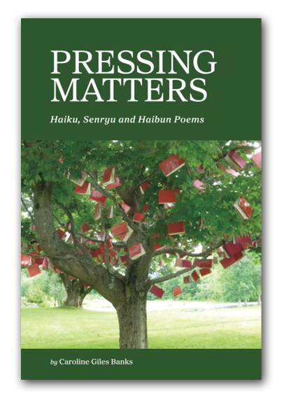Caroline Giles Banks Pressing Matters Book Cover