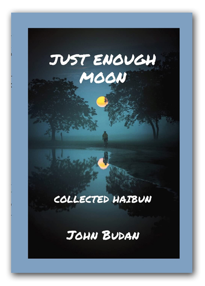 John Budan Just Enough Moon Book Cover