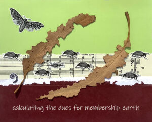 Membership haiga by Cherie Hunder Day