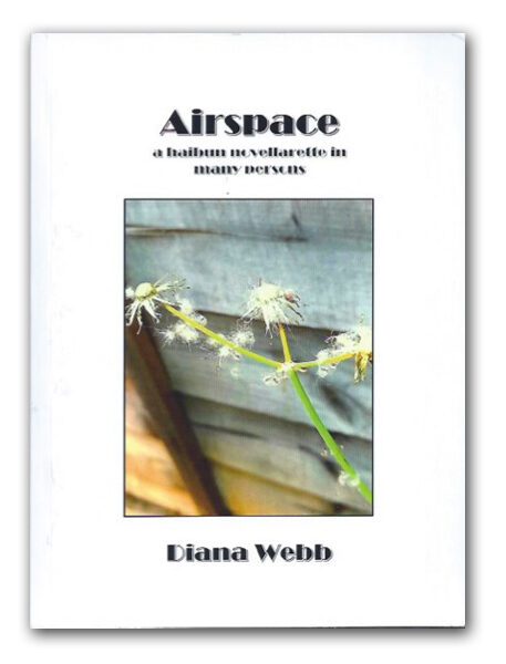 Airspace front cover