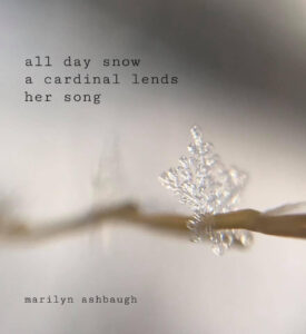 all day snow haiga