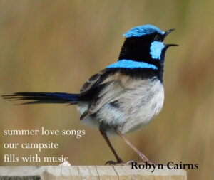 summer love songs haiga by Robyn Cairns