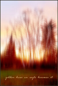 golden hour haiga by Debbie Strange