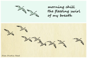 morning chill haiga by Dian Duchin Reed