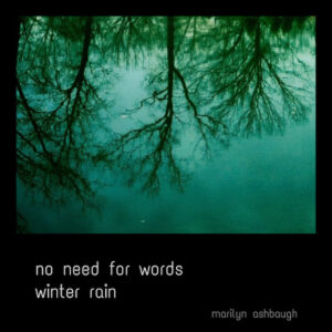 No need for words haiga