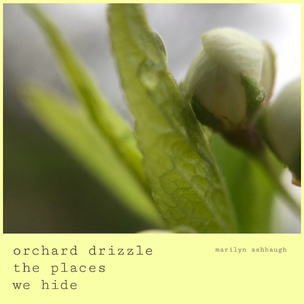 Orchard Drizzle haiga