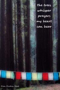 trees whisper prayers haiga by Dian Duchin Reed