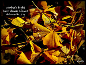 winter's light haiga by William Vlach