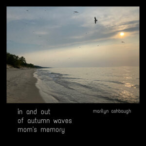 in and out haiga