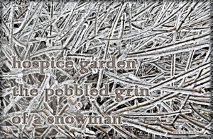 hospice garden haiga