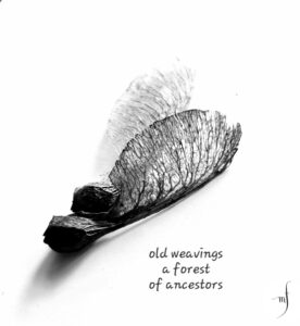 old weavings haiga