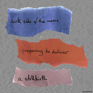 dark side of the moon haiga