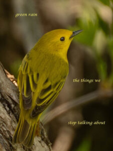 Mermey haiga green rain