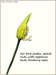 Dian Duchin Reed haiga first public speech