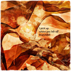 branchfall haiga
