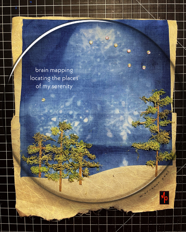 Marianne Paul brain mapping haiga