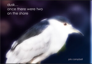 dusk haiga