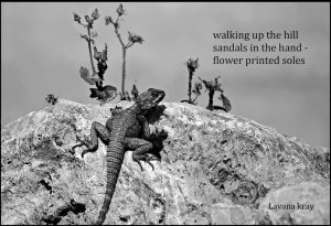 walking up the hill haiga by Lavana Kray