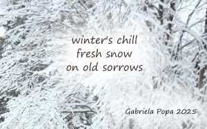 winter's chill haiga by Gabriela Popa