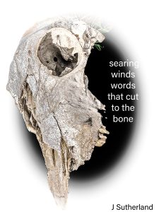 searing winds haiga by Jennifer Suthrland