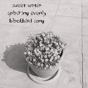 sweet water haiga by Ranice Tara