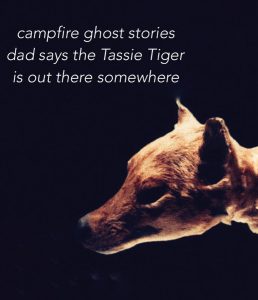 campfire ghost stories haiga by Lousie Hopewell
