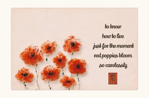 Elisa Theriana red poppies haiga