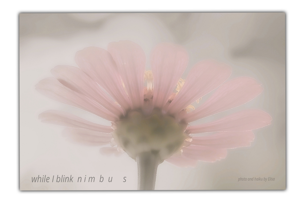 Elisa Theriana while I blink haiga