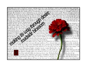 Elisa Theriana making its way haiga
