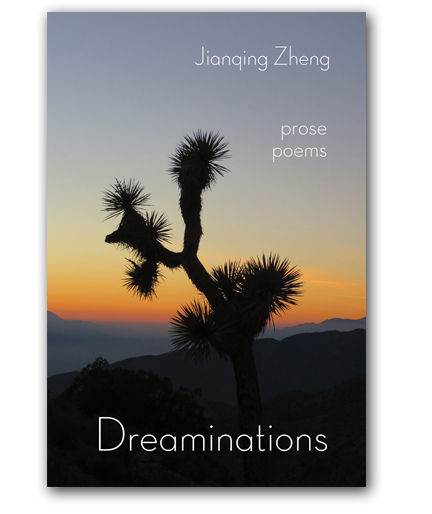 Dreaminations book cover