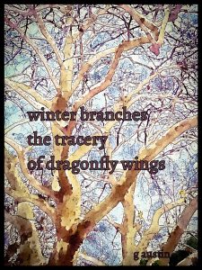 branches haiga by Gavin Austin