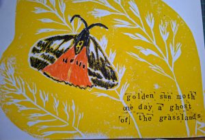 Robyn Cairns haiga of a butterfly on golden background