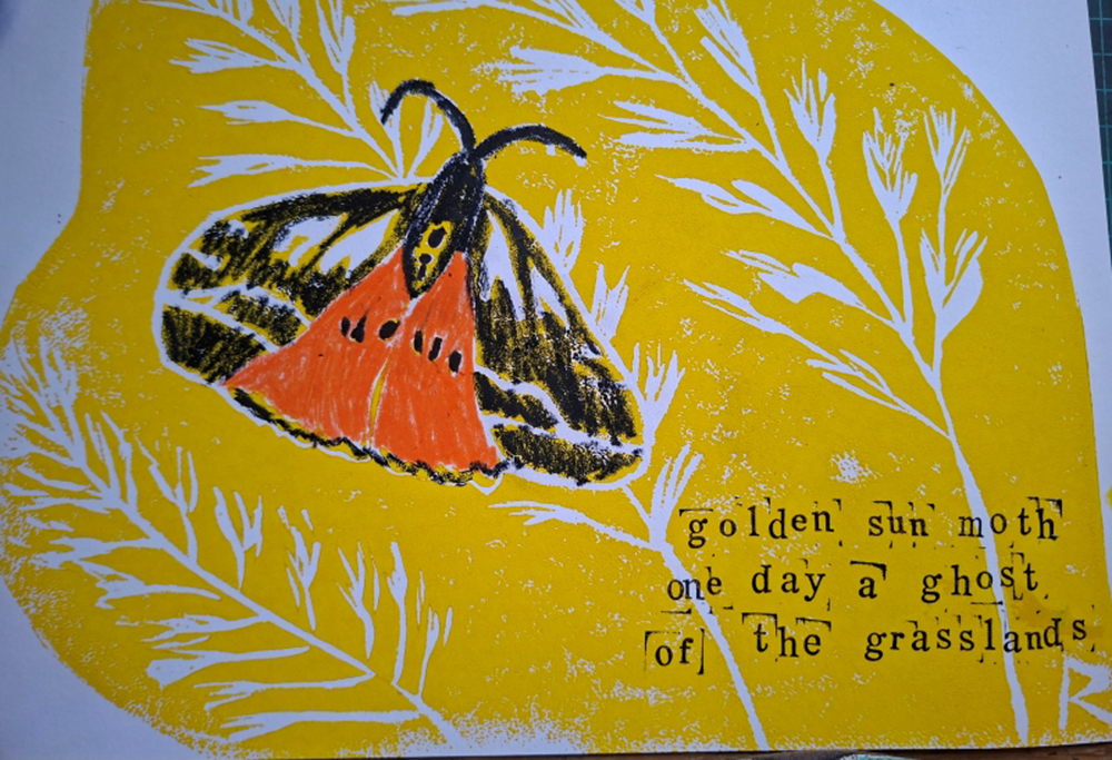 Robyn Cairns haiga of a butterfly on golden background